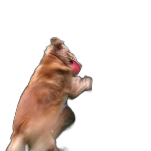 animal, creature, food, staff transparent PNG cut-out