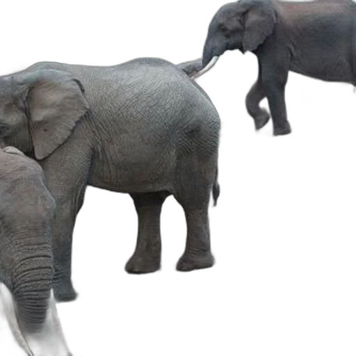 animal, creature, 3d render, concept art transparent PNG cut-out