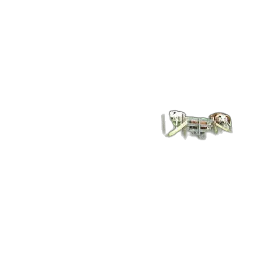 jewelry, animal, furniture, dragon transparent PNG cut-out