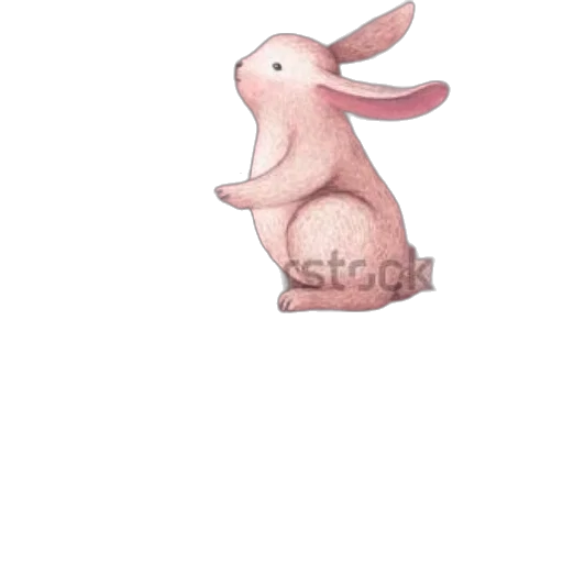 animal, creature, dress, staff transparent PNG cut-out