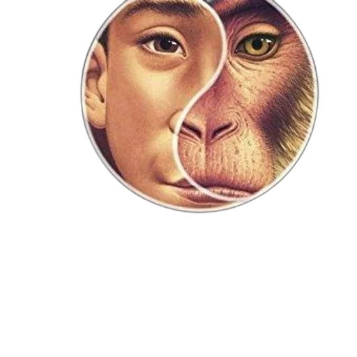 face, mask, animal, creature transparent PNG cut-out