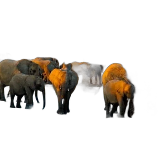animal, 3d render, concept art, golden transparent PNG cut-out