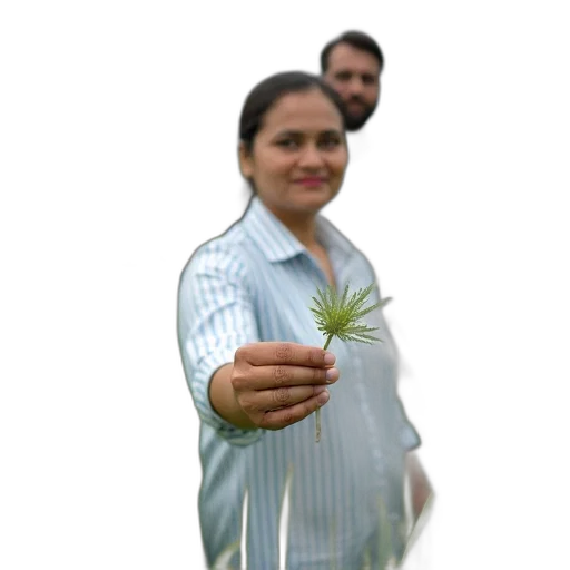 staff, flower, weapon, food transparent PNG cut-out