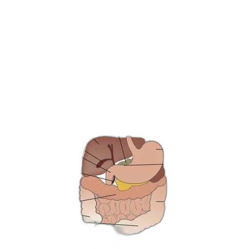 face, food, jewelry, jacket transparent PNG cut-out