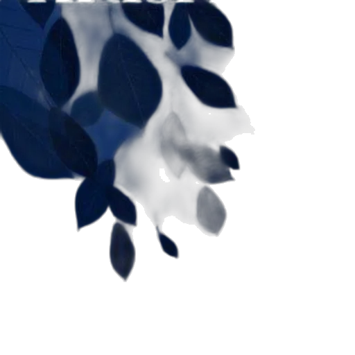 flower, umbrella, crown, mask transparent PNG cut-out