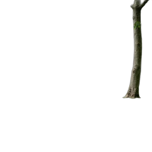 tree, animal, staff, sword transparent PNG cut-out