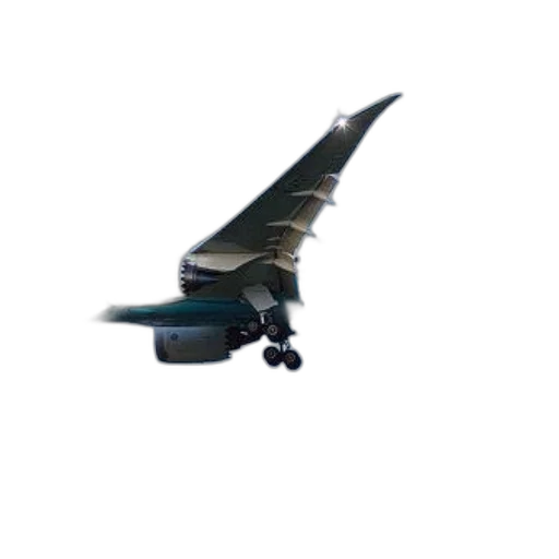 dragon, animal, staff, weapon transparent PNG cut-out