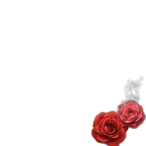 flower, jewelry, crown, dress transparent PNG cut-out