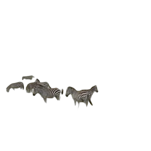 animal, jewelry, creature, furniture transparent PNG cut-out