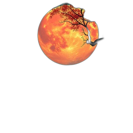 tree, food, staff, jewelry transparent PNG cut-out