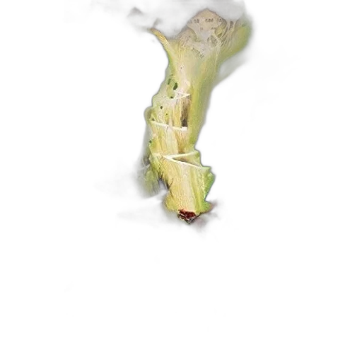 food, dragon, hair, flower transparent PNG cut-out