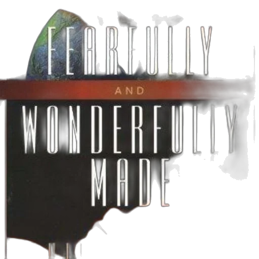 cover, fearfully, wonderfully, made transparent PNG cut-out