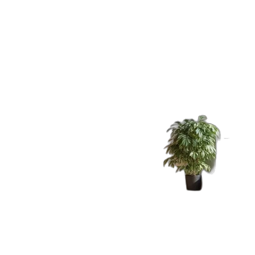 tree, crown, robot, furniture transparent PNG cut-out