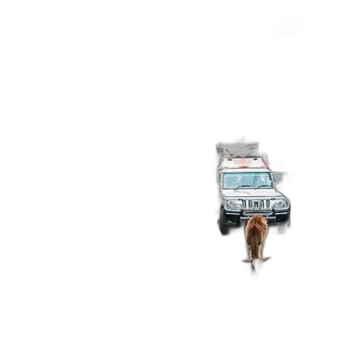 car, animal, hair, robot transparent PNG cut-out