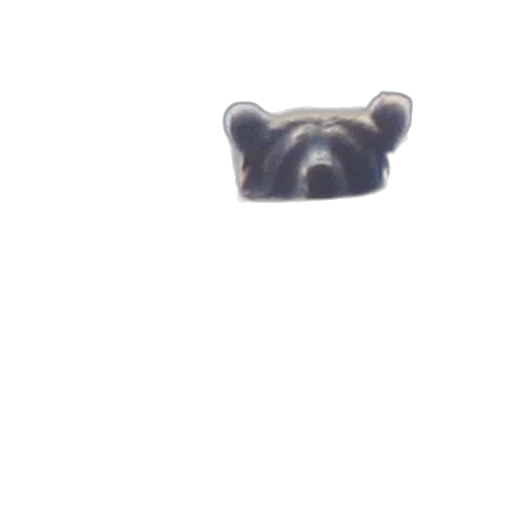 animal, face, creature, mask transparent PNG cut-out