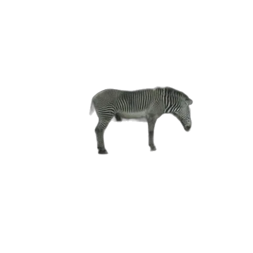 animal, furniture, creature, robot transparent PNG cut-out