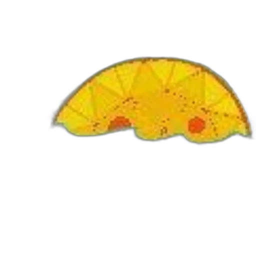 umbrella, hat, dragon, food transparent PNG cut-out