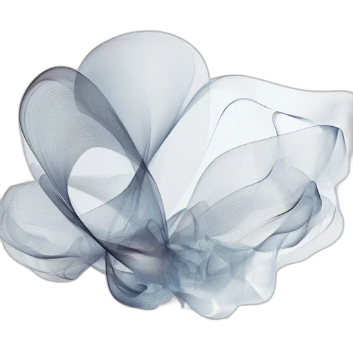 flower, crown, jewelry, hat transparent PNG cut-out