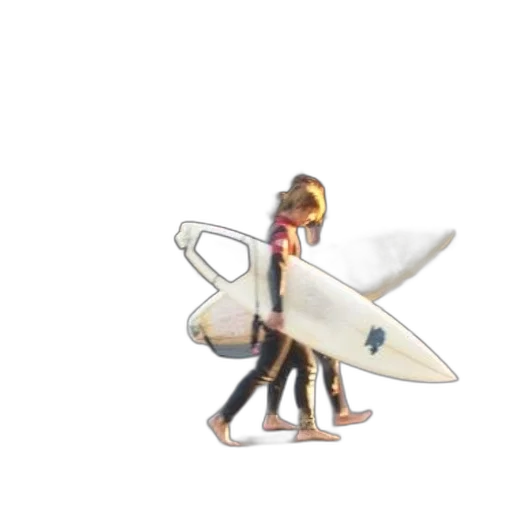 weapon, sword, staff, animal transparent PNG cut-out