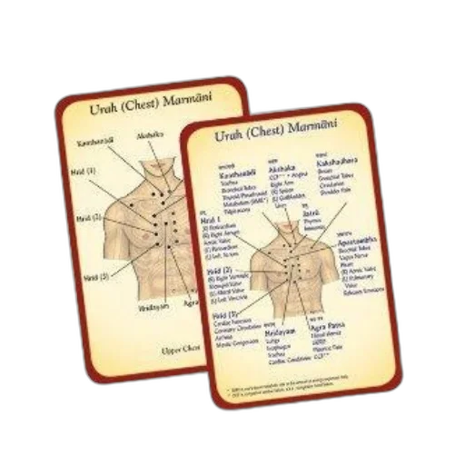 jacket, therapy, cards, featuring transparent PNG cut-out
