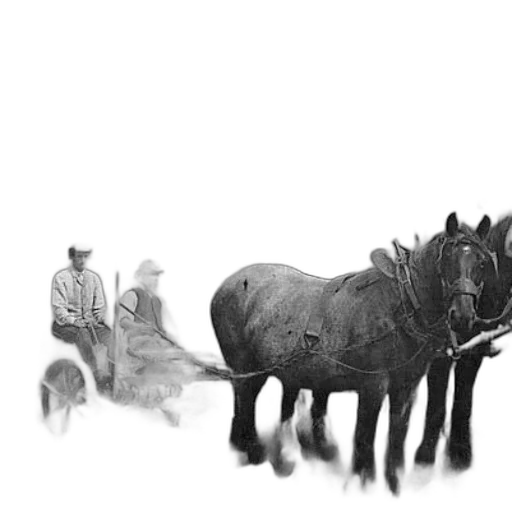 animal, creature, dragon, staff transparent PNG cut-out