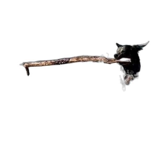 staff, weapon, sword, animal transparent PNG cut-out