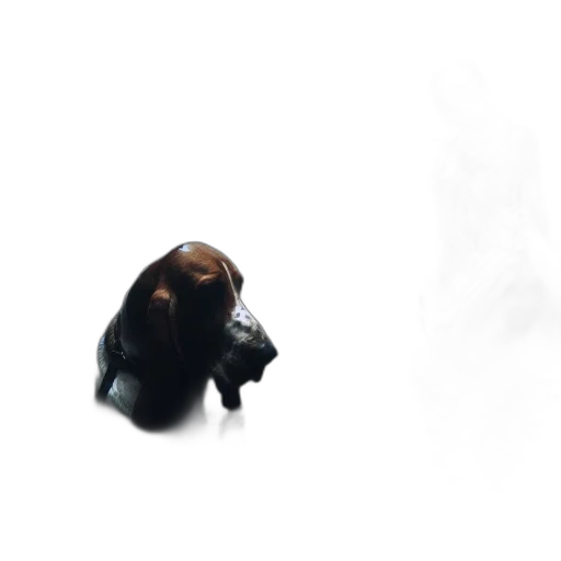 animal, creature, mask, face transparent PNG cut-out