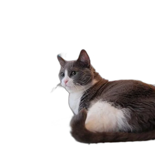 animal, creature, staff, crown transparent PNG cut-out