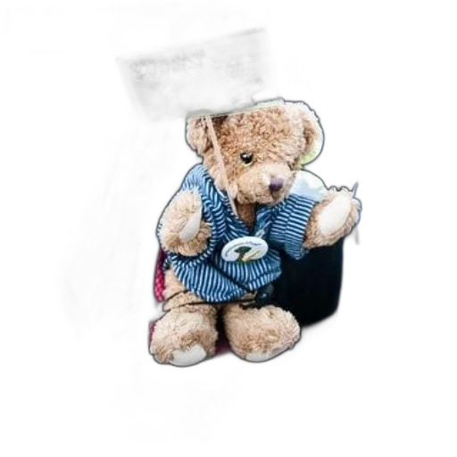 jacket, photorealistic, teddy, bear transparent PNG cut-out