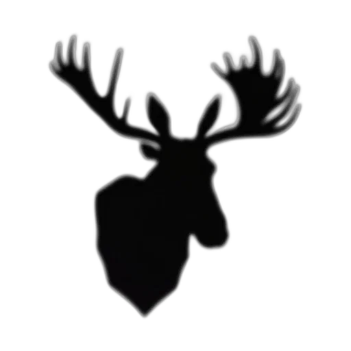 crown, animal, creature, jewelry transparent PNG cut-out