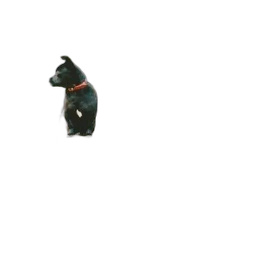 animal, staff, creature, robot transparent PNG cut-out