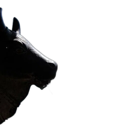 mask, dragon, animal, face transparent PNG cut-out