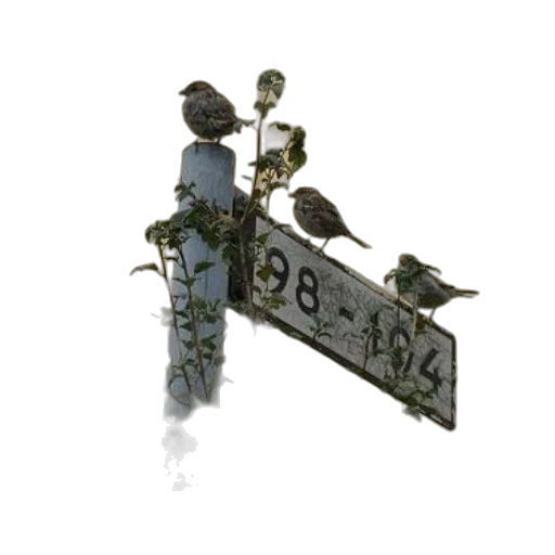 jewelry, staff, crown, weapon transparent PNG cut-out
