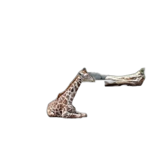 shoes, jewelry, weapon, sword transparent PNG cut-out