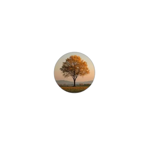 tree, umbrella, hat, furniture transparent PNG cut-out