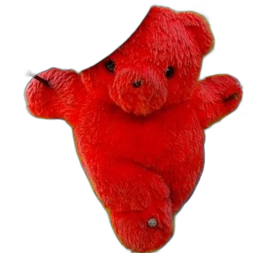 animal, creature, food, red transparent PNG cut-out