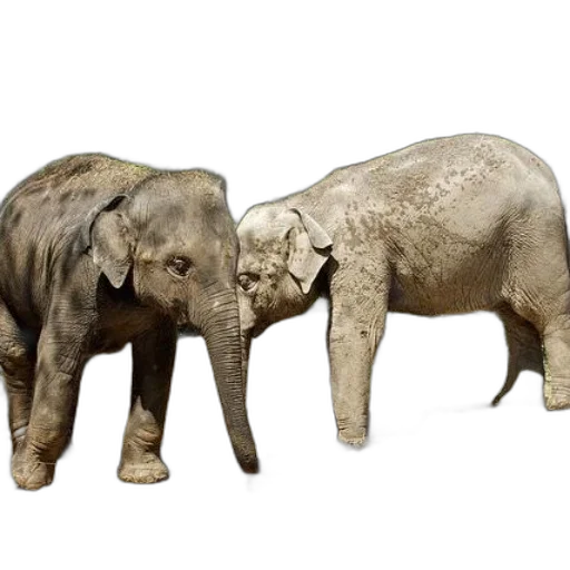 animal, 3d render, photorealistic, concept art transparent PNG cut-out