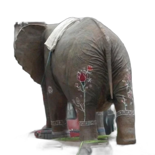 jacket, animal, creature, staff transparent PNG cut-out