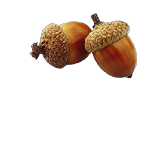 food, crown, jewelry, animal transparent PNG cut-out
