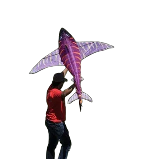 umbrella, staff, creature, dragon transparent PNG cut-out