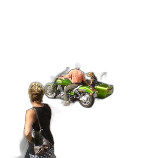 car, weapon, jacket, animal transparent PNG cut-out