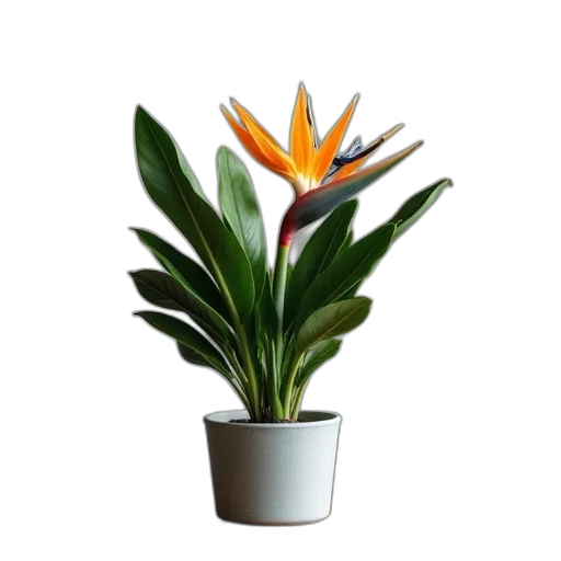 flower, crown, staff, 3d render transparent PNG cut-out