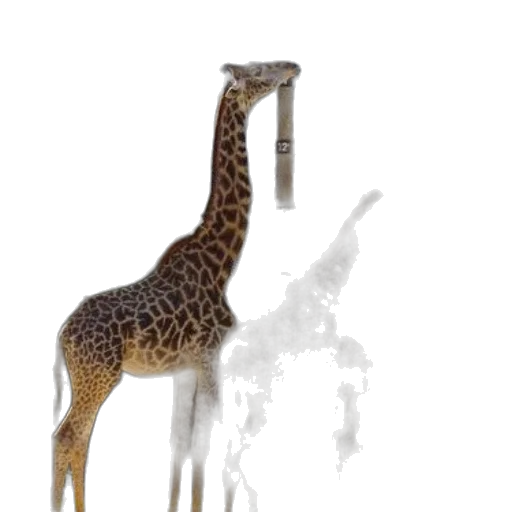 animal, creature, staff, dragon transparent PNG cut-out