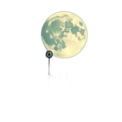 umbrella, staff, tree, weapon transparent PNG cut-out