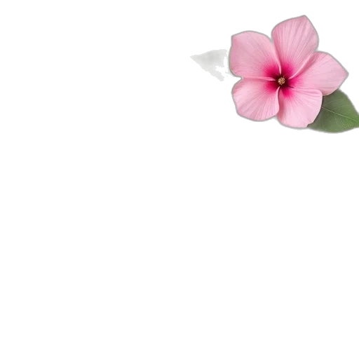 flower, jewelry, staff, crown transparent PNG cut-out