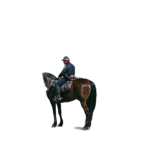 animal, staff, hat, jacket transparent PNG cut-out