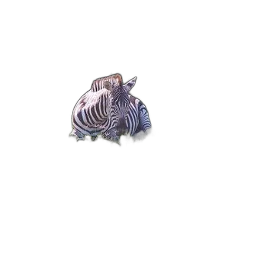 jewelry, animal, creature, hair transparent PNG cut-out