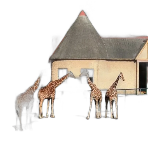 animal, building, 3d render, concept art transparent PNG cut-out