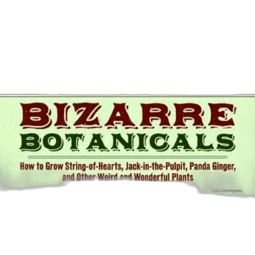 bizarre, botanicals, how, grow transparent PNG cut-out