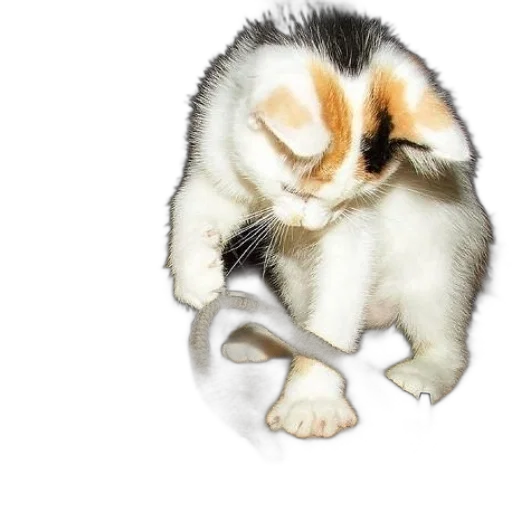 animal, creature, staff, mask transparent PNG cut-out